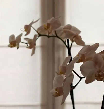 Du Bon Repos Argelès-Gazost