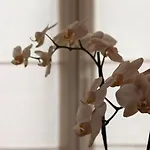 Du Bon Repos Argelès-Gazost